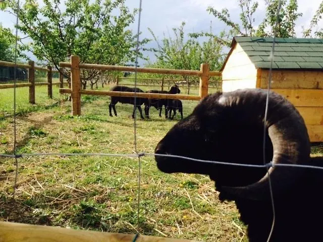 Agriturismo San Michele مزرعة للإقامة