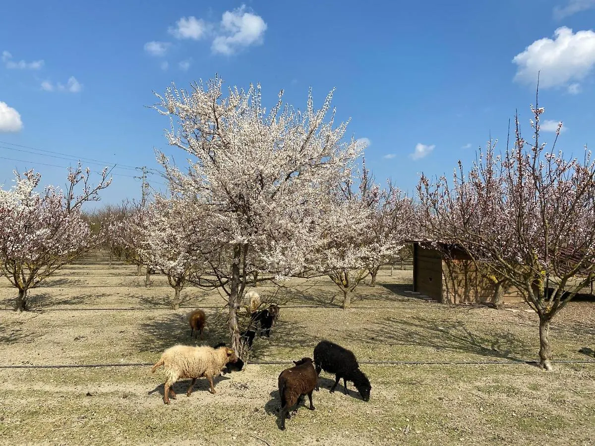Agriturismo San Michele 0*, San Michele (Ravenna) إيطاليا